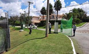 Saiba como conservar áreas verdes