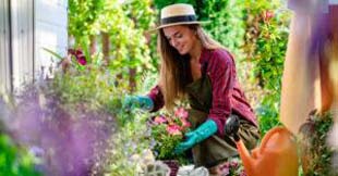 5 dicas para manter seu jardim sempre bonito