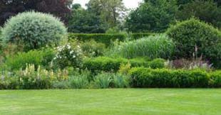 4 motivos para realizar hidrossemeadura para restauração de jardins
