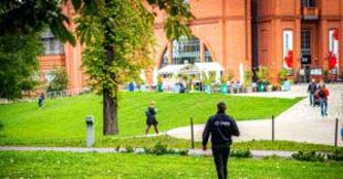 Paisagismo em shopping: saiba como a manutenção é feita