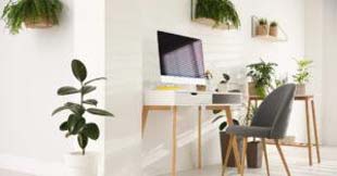 5 plantas perfeitas para ambientes internos da sua empresa