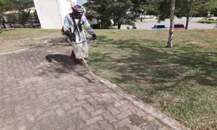 Os melhores serviços de limpeza e conservação de áreas verdes é aqui