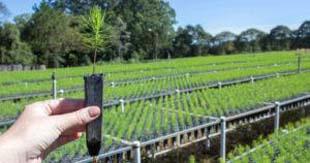 Transformar projetos paisagísticos incríveis, chame a AMP Engenharia