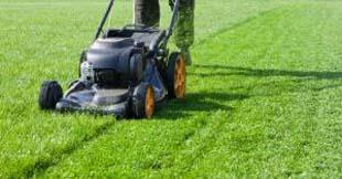 Saiba como fazer manutenção de gramado esportivo