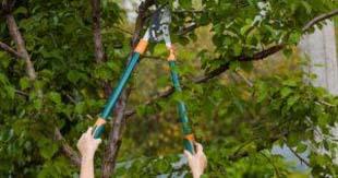 Transformar projetos paisagísticos incríveis, chame a AMP Engenharia