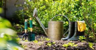 4 motivos para realizar hidrossemeadura para restauração de jardins